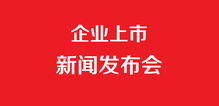 企业上市发布会与企业形象策划 双轮驱动，共铸品牌新篇章